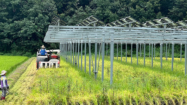 “농사도 짓고 발전도 하고” 영농형 태양광 제도 도입(사용허가 기한 8년→23년 변경)